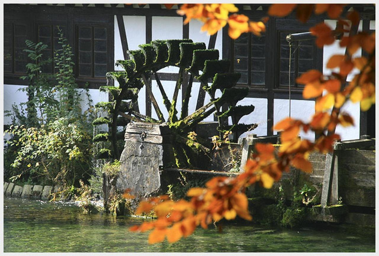 Hotel-Restaurant Ochsen Blaubeuren Exteriér fotografie